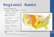 Regional Names Can be based on:  Geographic Characteristic or Feature Sunbelt – warm climate Panhandle - shape Coastal Bend – area where coast bends