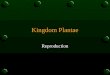 Kingdom Plantae Reproduction. General Characteristics o Eukaryotic o Multicellular o Autotrophic