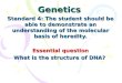Genetics Standard 4: The student should be able to demonstrate an understanding of the molecular basis of heredity. Essential question What is the structure