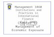 Chapter 12 Management of Economic Exposure Management 3460 Institutions and Practices in International Finance Fall 2003 Greg Flanagan