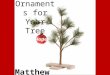 Hope Ornament s for Your Tree Matthew 1:1-3. Matthew 1 - Jesus' Family Tree