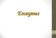 Enzymes 1. Proteins Contain ______________________________ ______________________________ ______________________________ _________bound by ________________bonds