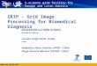 Www.eu-eela.eu E-science grid facility for Europe and Latin America GRIP - Grid Image Processing for Biomedical Diagnosis SECOND EELA-2 GRID SCHOOL Querétaro,