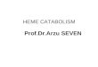 HEME CATABOLISM Prof.Dr.Arzu SEVEN. HEME CATABOLISM In one day, 70 kg human turns over = 6 gr of Hb Hb heme iron_free porphyrin iron (reuse) globulin