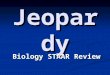 Jeopardy Biology STAAR Review 100 200 300 400 500 Nature of Science Nature of Science II Cellular Processes DNA & Protein Synthesis Mendelian Genetics