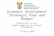 Economic Development Strategic Plan and Budget Presentation to the Select Committee on Economic Development 13 April 2010