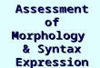 Assessment of Morphology & Syntax Expression. Objectives What is MLU Stages of Syntactic Development Examples of Difficulties in Syntax Why preferring