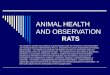 ANIMAL HEALTH AND OBSERVATION RATS This workforce solution was funded by a grant awarded under the President’s Community-Based Job Training Grants as implemented