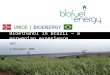 Bioethanol in Brazil – a norwegian experience BNCC 4 November 2008