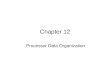 Chapter 12 Processor Data Organization. Objectives (1 of 2) Describe a processor file. Explain what two files make up a processor file. Explain the function