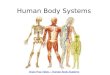 Human Body Systems Brain Pop Video – Human Body Systems