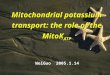 Mitochondrial potassium transport: the role of the MitoK ATP WeiGuo 2005.1.14