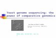 Yeast genome sequencing: the power of comparative genomics MEDG 505, 03/02/04, Han Hao Molecular Microbiology (2004)53(2), 381 – 389