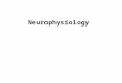Neurophysiology. 1.Principles of neurophysiology  The function of neurons  Synaptic transmission 2. The functions of nervous system  Sensory function
