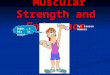Muscular Strength and Endurance Muscular Strength and Endurance Duhh...this is easy! By: Lauren Hauser