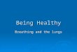Being Healthy Breathing and the lungs. Objectives & Outcomes  Objective: Develop understanding of the structure of the lungs and gas exchange.  Outcomes: