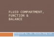 FLUID COMPARTMENT, FUNCTION & BALANCE Prepared by, Dr. Nicole Seng Lai Giea