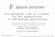 Spazio ZeroUno Cell Broadcast Forum Plenary, Milan, May 28-29th 2002 Andrea Ghirardini Business Development Spazio ZeroUno An efficient and effective method