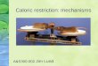 Caloric restriction: mechanisms A&S300-002 Jim Lund