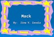 Mack By: Zina V. Zavala. Hello! My name is Mack and I am the only pet in my family, which means that…I’m the only one! 1