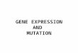 GENE EXPRESSION AND MUTATION. GENE EXPRESSION IN PROKARYOTES - A gene is being “expressed” or “activated” when a protein is being made -Some are expressed