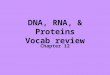 DNA, RNA, & Proteins Vocab review Chapter 12. Main enzyme involved in linking nucleotides into DNA molecules during replication DNA polymerase Another