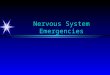 Nervous System Emergencies Nervous System A & P ä Nervous System Basics ä The body’s control system ä Exerts control through electrochemical impulses