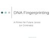 Copyright 2007 John Sayles DNA Fingerprinting A Primer for Future Jurors (or Criminals)