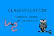 CLASSIFICATION Finding Order in Diversity. DEFINE TAXONOMY Discipline of classifying organisms and assigning each organism a universally accepted name