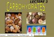 LECTERE 3 Lecturer: Dmukhalska Yevheniya. B.. 1.Carbohydrates. 2.Biological role of carbohydrates in an organism. 3.Classification of carbohydrates. 4.Structure