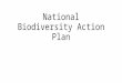 National Biodiversity Action Plan.  India has participated actively in all the major international events related to environment protection and biodiversity