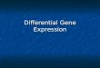 Differential Gene Expression. Differential Gene Transcription What are the major differences between prokaryotic and eukaryotic genes? What are the major