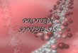 PROTEIN SYNTHESIS. DNA and Genes DNA DNA contains genes, sequences of nucleotide bases These Genes code for polypeptides (proteins) Proteins are used