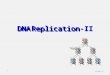 DNA Replication-II 17/10/20151. Overview I. General Features of Replication Semi-Conservative Starts at Origin Bidirectional Semi-Discontinuous II. Identifying