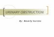 URINARY OBSTRUCTION By: Beverly Sorreta. ETIOLOGY  A urinary obstruction means the normal flow of urine is blocked. As the urine backs up, it can cause