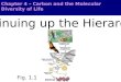 Chapter 4 – Carbon and the Molecular Diversity of Life Fig. 1.1 Continuing up the Hierarchy…