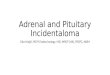 Adrenal and Pituitary Incidentaloma Gita Majdi, PGY5 Endocrinology, MD, MRCP (UK), FRCPC, ABIM