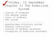 Friday, 12 September Chapter 11 The Endocrine System Classes of hormones The adrenal gland Fates of hormones RAA system -------------------------------