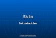 © Clinical Science Applied to Nursing /SONMS/Cardiff University/092005 Skin Introduction