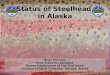 Status of Steelhead in Alaska Brian Marston Area Fisheries Biologist Alaska Department of Fish and Game Division of Sport Fisheries, Yakutat, Alaska