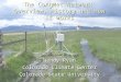 The CoAgMet Network: Overview, History and How It Works Wendy Ryan Colorado Climate Center Colorado State University