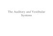 The Auditory and Vestibular Systems. I. Functional Anatomy of the 2 Systems - Overview A.Parallel ascending auditory pathways. B.Ascending vestibular