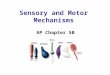 Sensory and Motor Mechanisms AP Chapter 50. Notice You do not need to know the specific neuroanatomy of the sensory organs, rather the mechanisms of how