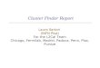 Cluster Finder Report Laura Sartori (INFN Pisa) For the L2Cal Team Chicago, Fermilab, Madrid, Padova, Penn, Pisa, Purdue