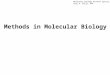 Methods in Molecular Biology Molecular Biology Bio4751 Spring 2003 Gary A. Bulla, PhD