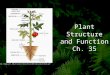 Plant Structure and Function Ch. 35 