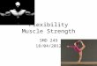 Flexibility Muscle Strength SMD 249 18/04/2012