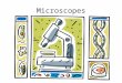 Microscopes. Some Microscope Parts (lens to â€seeâ€™ through; Magnifies 10x) (Carry microscope) (lenses close to object/specimen; Magnifies 10x, 20x, or