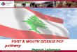 FOOT & MOUTH DISEASE PCP pathway Report Lebanon.  Official name: Republic of Lebanon  Capital: Beirut  Area: 10,452 sq km  Population: 3,874,050 (2006