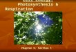 Cell Energy: Photosynthesis & Respiration Chapter 5, Section 1